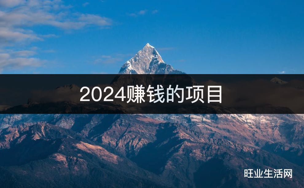 2024赚钱的项目:做手机卡代理月入上万