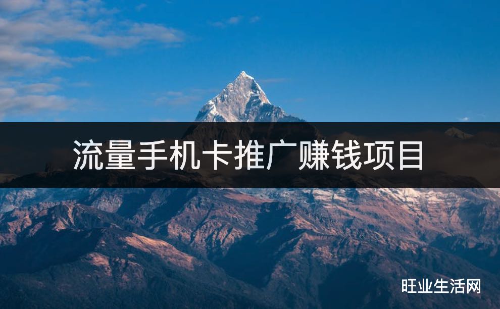 流量手机卡推广赚钱项目,一个月赚10万的靠谱项目